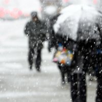 Кроты, сало, снег и -22 градуса: фенолог рассказал, какая зима ждет Латвию