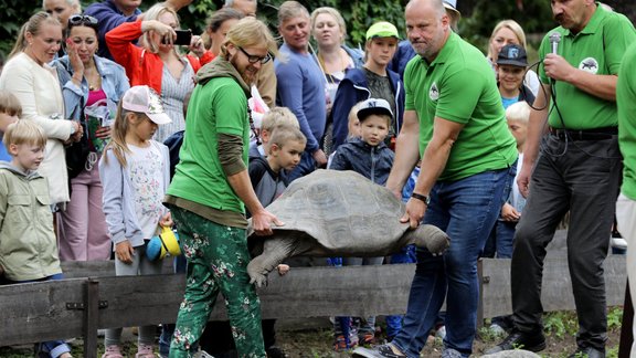 Galapagu bruņrupuču svēršana 2020 - 6