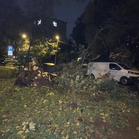 Vētra posta Latviju – VUGD devies 660 izsaukumos