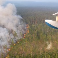 Генпрокуратура РФ раскрыла причину сибирских пожаров: кто-то скрывал следы вырубки