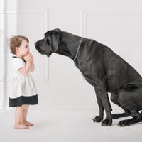 Bīstami mīti par bērna un suņa draudzību: zoopsihologa skatījums