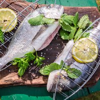 Ceptas, grilētas un marinētas – brīvdienu maltītes ar zivi