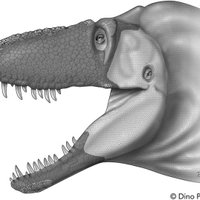 Палеонтологи открыли новый вид тираннозавров