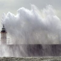 Циклон "Нил" добрался до Латвии: сила ураганного ветра достигает 32 м/сек
