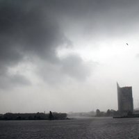 Rīgā vēja brāzmas sasniegušas ātrumu 20 metri sekundē