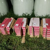 Foto: Robežsargi kontrabandistiem izņēmuši 60 tūkstošus cigarešu