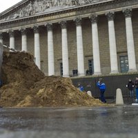 Foto: Pie Francijas parlamenta ēkas izgāž tonnām zirgu mēslu
