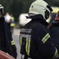 В Лиепае горела ветклиника: пожарные спасли животных, погиб питон
