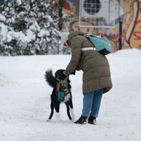 Naktī debesis skaidrosies, taču vietām gaidāma snigšana