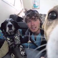 Perfekts selfijs ar dzīvnieku: aizrautīgs fotogrāfs pastāsta, kā sadraudzējas ar zvēriņiem