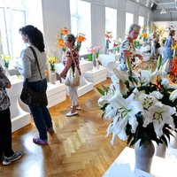 Fotoreportāža: 150 skaistākās liliju šķirnes Latvijas Dabas muzejā