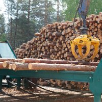 Из Латвии вывезены лес и древесина на 324 млн евро