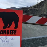 Aļaskā lācis nogalina 16 gadus vecu skrējiena dalībnieku