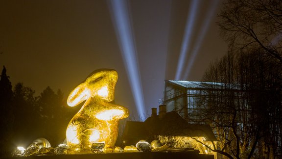 LU Botāniskais dārzs, Latvijas Universitātes Botāniskais dārzs, Ziemas dārzs, Ziemas dārzs 2019