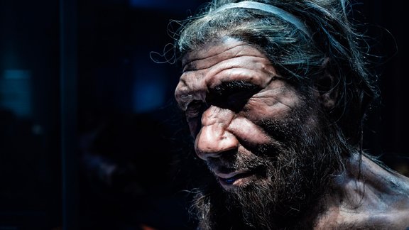 neandertālietis