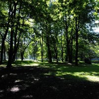 Aldara parka atjaunošanai Rīgas dome piešķirs 650 tūkstošus eiro