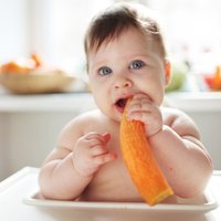 Что укрепит детский иммунитет: мед, морковка и шиповник