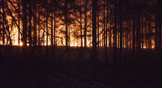 Gads kopš gadsimta ugunsgrēka – zaudējumi miljonos, vainīgo nav