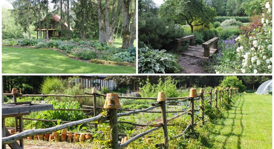 Ziedu upes, augu kolekcijas un kukaiņu viesnīca: skaistākie dārzi Igaunijā