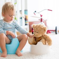 Podiņmācības ābece: ieteikumi, lai mazulis iešanu uz podiņa apgūtu veiksmīgi