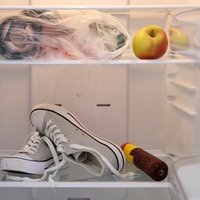 Seši gadījumi, kad veļasmašīnu aizstāt ar ledusskapi