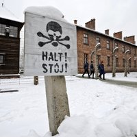 В Германии могут осудить троих экс-охранников Освенцима
