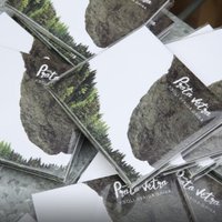 'Prāta vētras' jaunais albums '7 soļi svaiga gaisa' sasniedzis zelta statusu