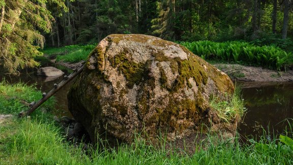 Dabas un izziņas taka 'Viesatas upesloki'  - 23