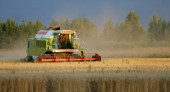 Lietus kavē graudaugu ražas novākšanu; var ciest arī kvalitāte