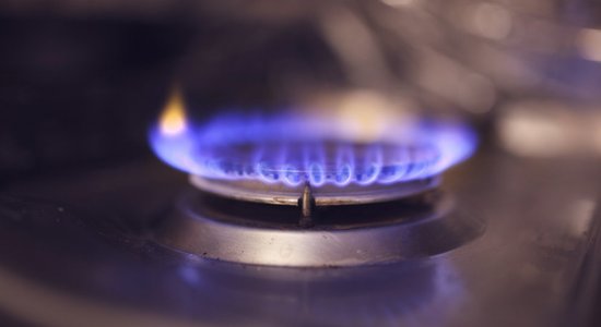 Экономисты: резкое снижение биржевых цен на газ не означает, что они будут низкими всю зиму
