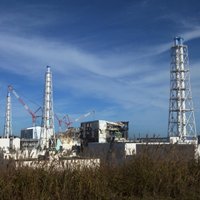 Крыса отключила питание на АЭС "Фукусима-1"