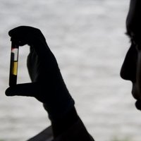 Pandēmijas laikā Āfrikā varētu pieaugt malārijas izraisītu nāvju skaits, brīdina PVO
