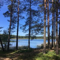 В среду в водоемах Латвии обнаружены тела троих утонувших