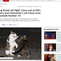 Скандал в Лондоне: минфиновский кот подрал кота премьер-министра (фото)