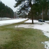 Rīgas Siltums отвечает на обвинения читателей в "отоплении газонов"