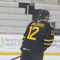 Tralmakam rezultatīva piespēle 'Bruins' graujošā uzvarā AHL čempionātā