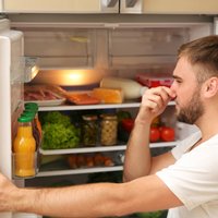 Tautas metodes, kā novērst nepatīkamo smaku ledusskapī