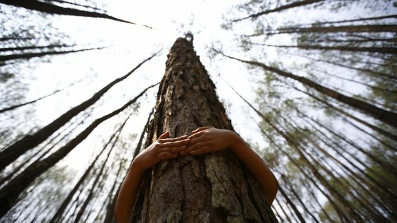 Reuters/Scanpix