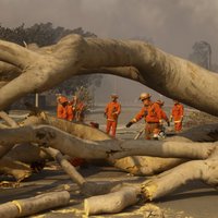 Число погибших в результате лесных пожаров в Лос-Анджелесе выросло до 10 человек