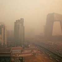 Pētnieki: gaisa piesārņojums samazina intelektuālās spējas