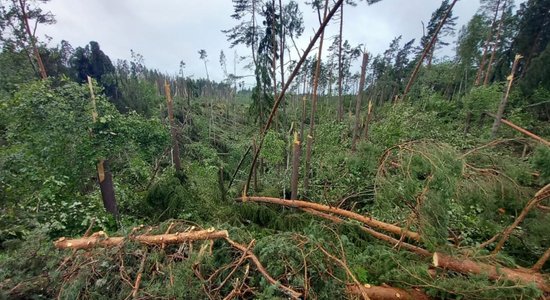 Vētra Cēsu pusē nopostījusi 70 hektārus meža