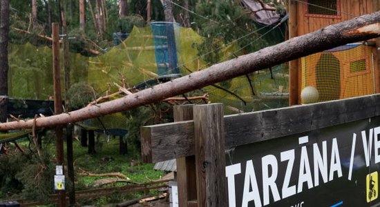 ФОТО. "Безвозвратно поврежден": как выглядит природный парк Тервете после разрушительной бури