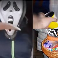 Pašmāju interneta hits: puisis Liepājā sirsnīgi izjoko saldumu diedelētājus