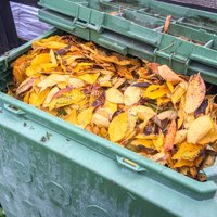Ierīkošana, izmantošana un sagatavošana ziemai: par un ap vērtīgo kompostu