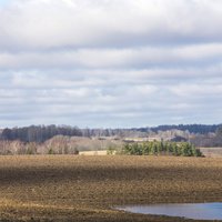 Ceturtdien saule gaisu sasildīs līdz pat +11 grādiem