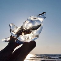 Fotoreportāža: Ja daba piedalītos ledus skulptūru festivālā...