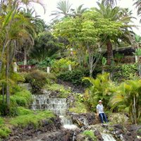 Ceļojuma stāsts: Tenerife jeb skaļi izteiktie sapņi piepildās