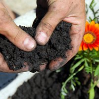 Как подобрать лучшую почву для ваших растений. Советы эксперта