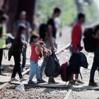 Сейм отверг предложение Нацобъединения декларировать нежелание Латвии принимать беженцев и мигрантов