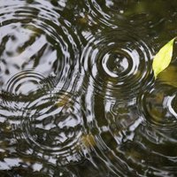 Жителям Елгавы также придется платить за отвод дождевых вод